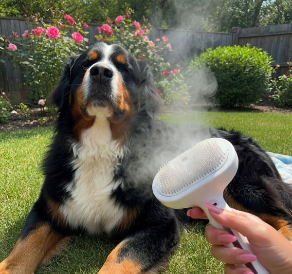 PuppyPaw™ Steam Spray Grooming Brush