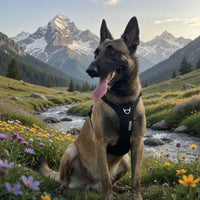 No-Pull Reflective Dog Harness – Back Handle | PuppyPaw™