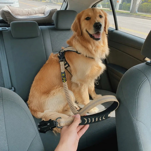 Heavy Duty Bungee Dog Leash – Double Handle | PuppyPaw™
