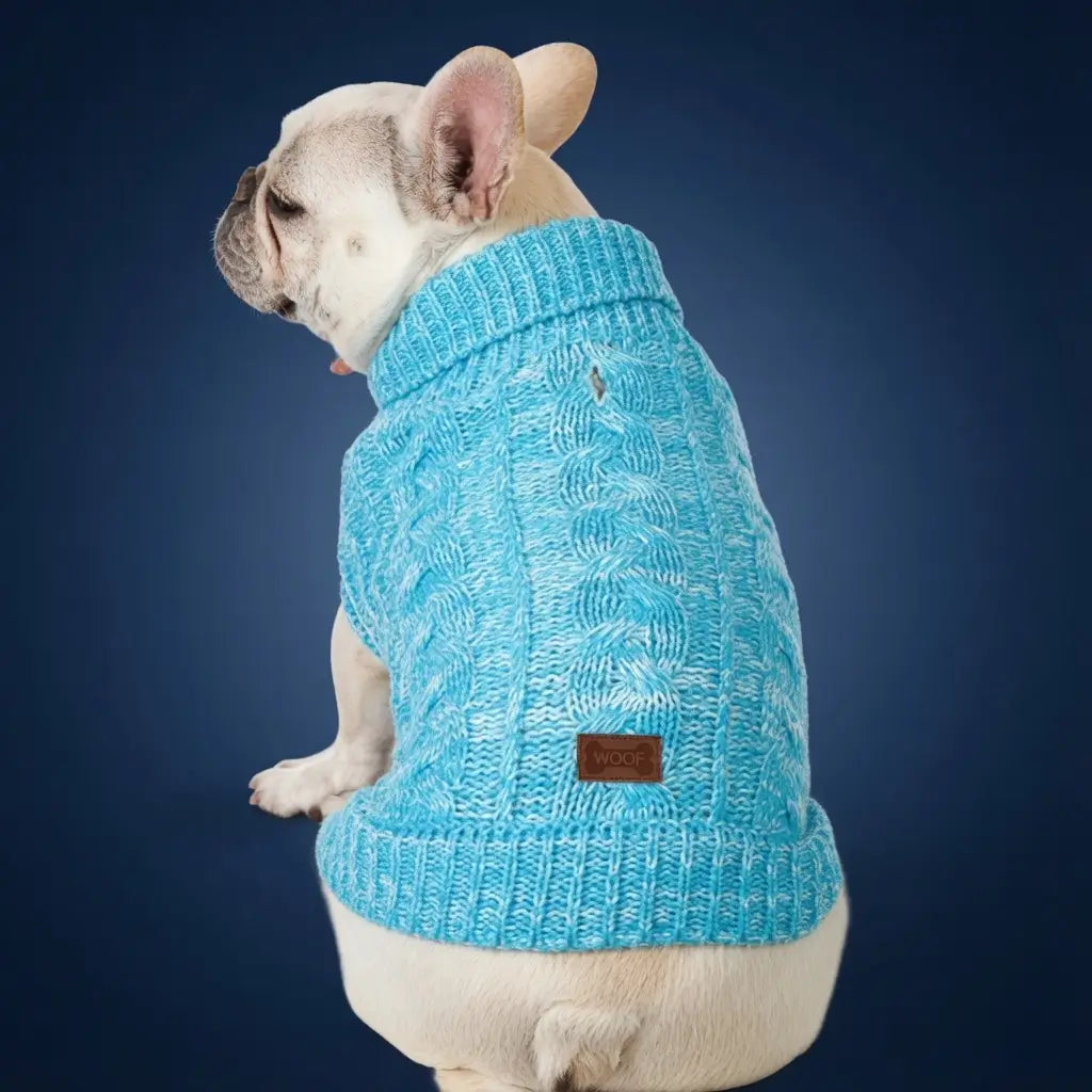 Knitted Dog Sweater – Soft Stretch Knitwear | PuppyPaw™