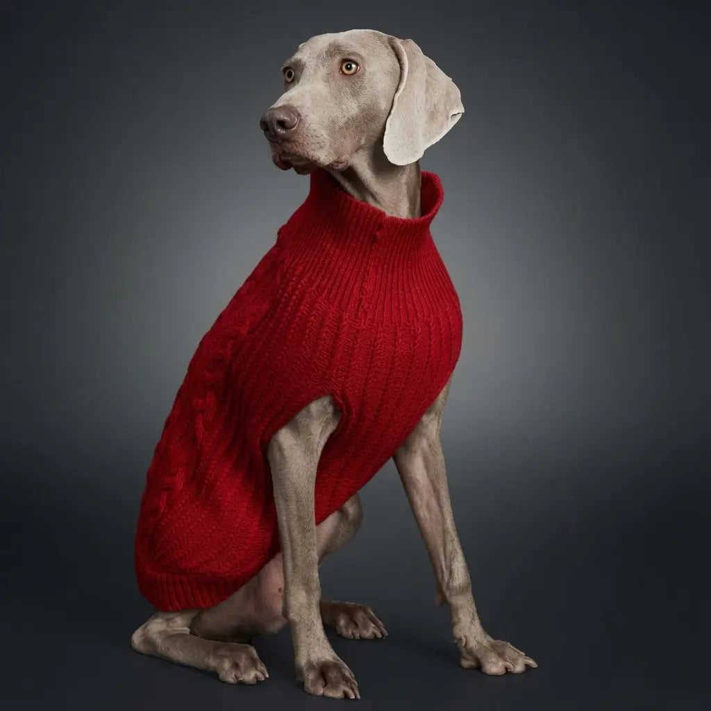 Knitted Dog Sweater – Soft Stretch Knitwear | PuppyPaw™