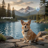 Waterproof GPS Pet Tracker – Real-Time Tracking | PuppyPaw™