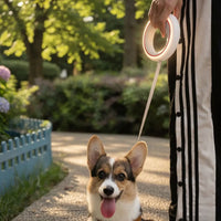 Retractable Dog Training Leash – Hands-Free | PuppyPaw™