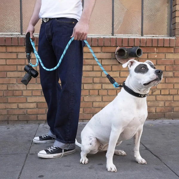 Heavy Duty Dog Leash – Padded Handle & Reflective | PuppyPaw™