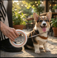 Retractable Dog Training Leash – Hands-Free | PuppyPaw™