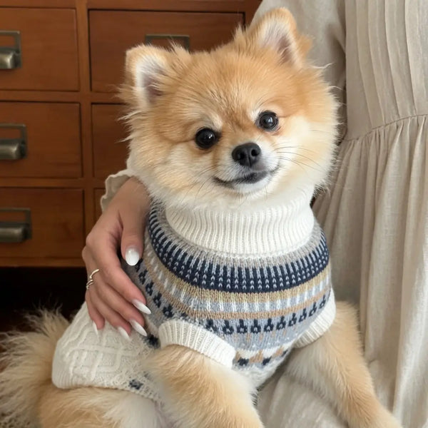 Vintage Knit Dog Sweater – Black & Beige | PuppyPaw™