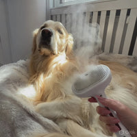 PuppyPaw™ Steam Spray Grooming Brush