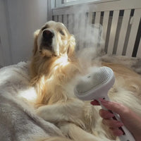 Steam Spray Grooming Brush – 10-Minute Pet Groomer | PuppyPaw™