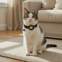 Adjustable Reflective Cat Collar – AirTag Holder | PuppyPaw™