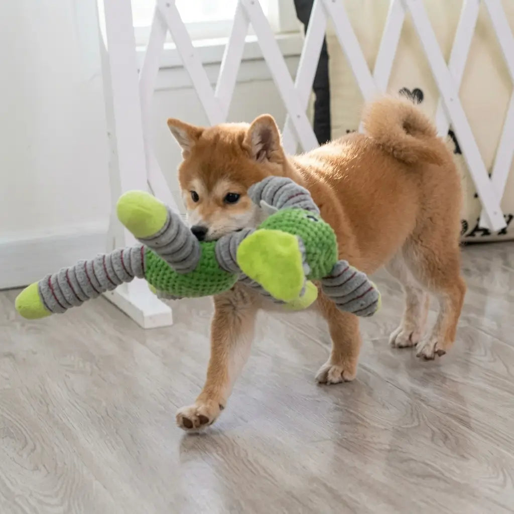 Indestructible Squeaky Dog Toy – Animal Shape | PuppyPaw™