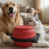 Foldable Travel Dual Pet Bowl – Food & Water | PuppyPaw™