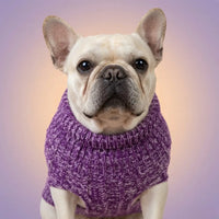 Knitted Dog Sweater – Soft Stretch Knitwear | PuppyPaw™