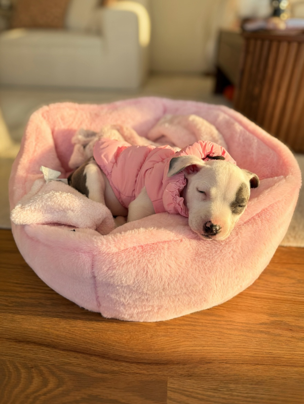 Maximum Comfort & Warmth