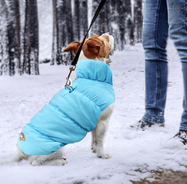 Harness-Friendly Design