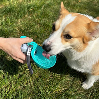 Dog Stainless Steel Travel Bottle – 2-in-1 Bowl | PuppyPaw™