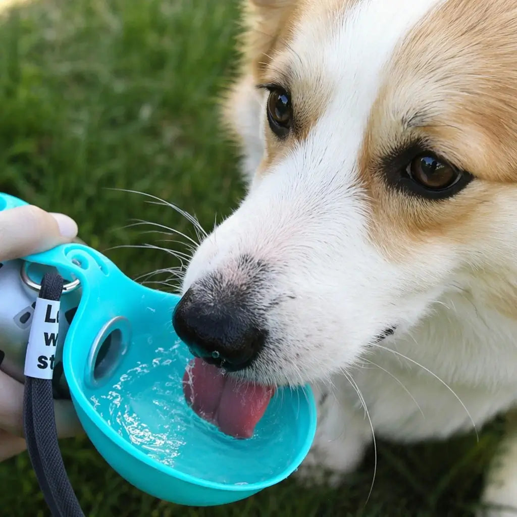 Dog Stainless Steel Travel Bottle – 2-in-1 Bowl | PuppyPaw™