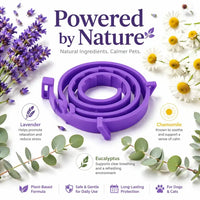 Dog Calming Collar – Pheromone Anxiety Relief | PuppyPaw™