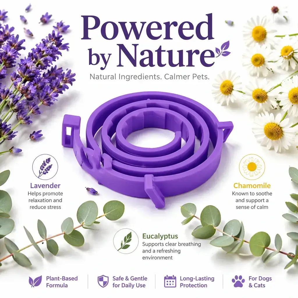 Dog Calming Collar – Pheromone Anxiety Relief | PuppyPaw™