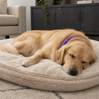 Dog Calming Collar – Pheromone Anxiety Relief | PuppyPaw™