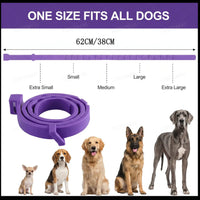 Dog Calming Collar – Pheromone Anxiety Relief | PuppyPaw™