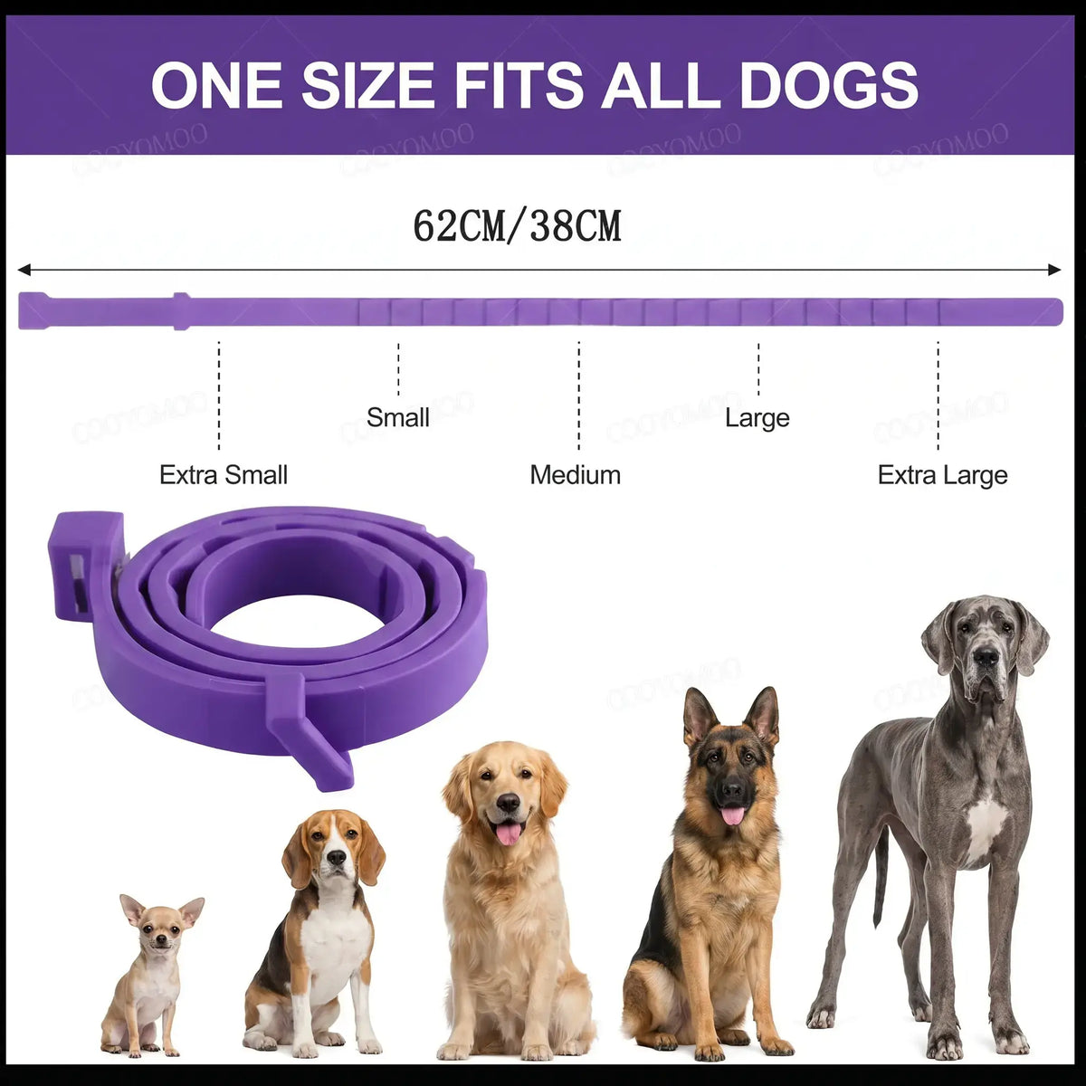 Dog Calming Collar – Pheromone Anxiety Relief | PuppyPaw™