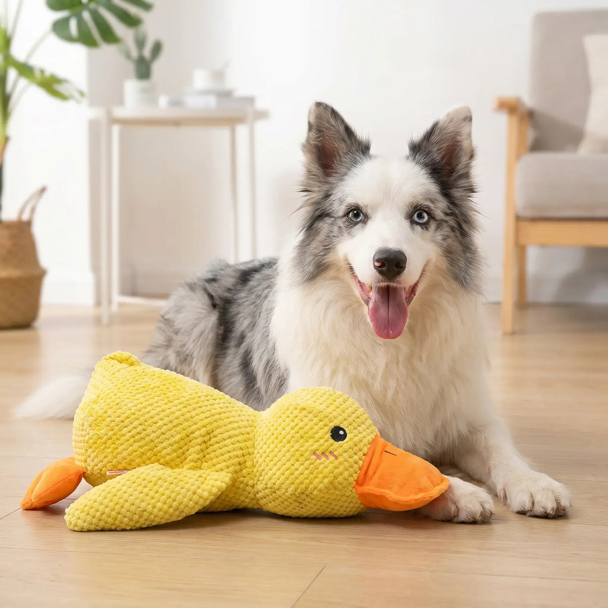 Plush Duck Dog Toy – Soft Squeaky Comfort | PuppyPaw™