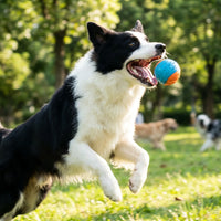 TPR Squeaky Ball –  Dental Chew Toy | PuppyPaw™