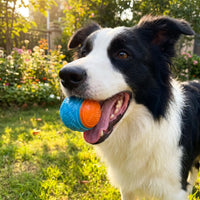 TPR Squeaky Ball –  Dental Chew Toy | PuppyPaw™