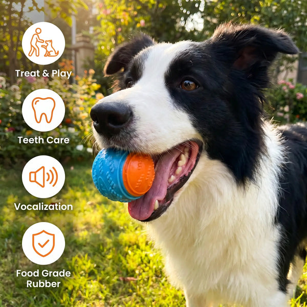 TPR Squeaky Ball –  Dental Chew Toy | PuppyPaw™