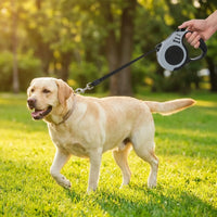 Retractable Nylon Dog & Cat Leash – 3M & 5M | PuppyPaw™