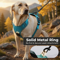 Tactical Dog Harness & Leash Set – AirTag Holder | PuppyPaw™