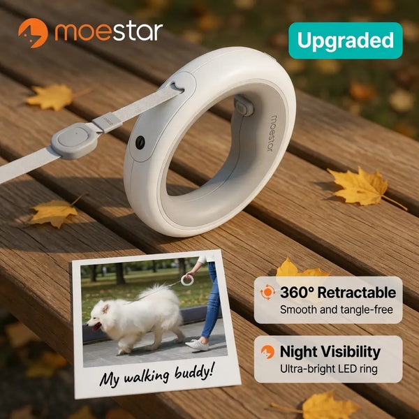 Retractable LED Dog Leash – Rechargeable USB-C | PuppyPaw™