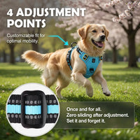 No-Pull Dog Vest Harness – Padded & Adjustable | PuppyPaw™