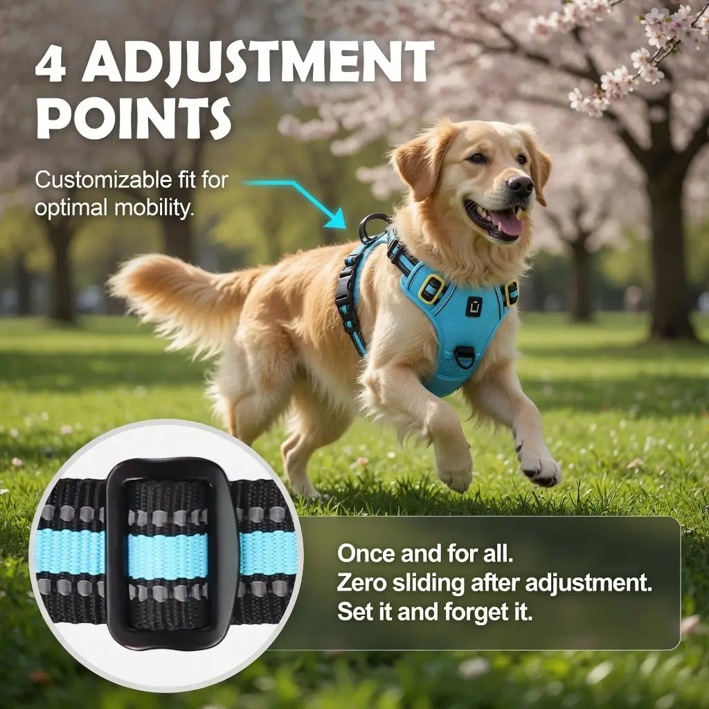 No-Pull Dog Vest Harness – Padded & Adjustable | PuppyPaw™