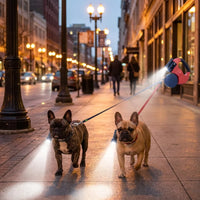 Dual Retractable Dog Leash – LED & No-Tangle | PuppyPaw™