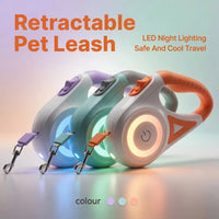 Retractable LED Dog Leash – Quick Release Clasp | PuppyPaw™