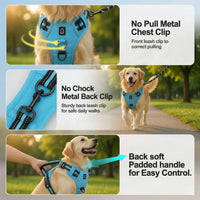 No-Pull Dog Vest Harness – Padded & Adjustable | PuppyPaw™