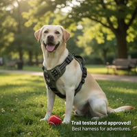 No-Pull Dog Vest Harness – Padded & Adjustable | PuppyPaw™