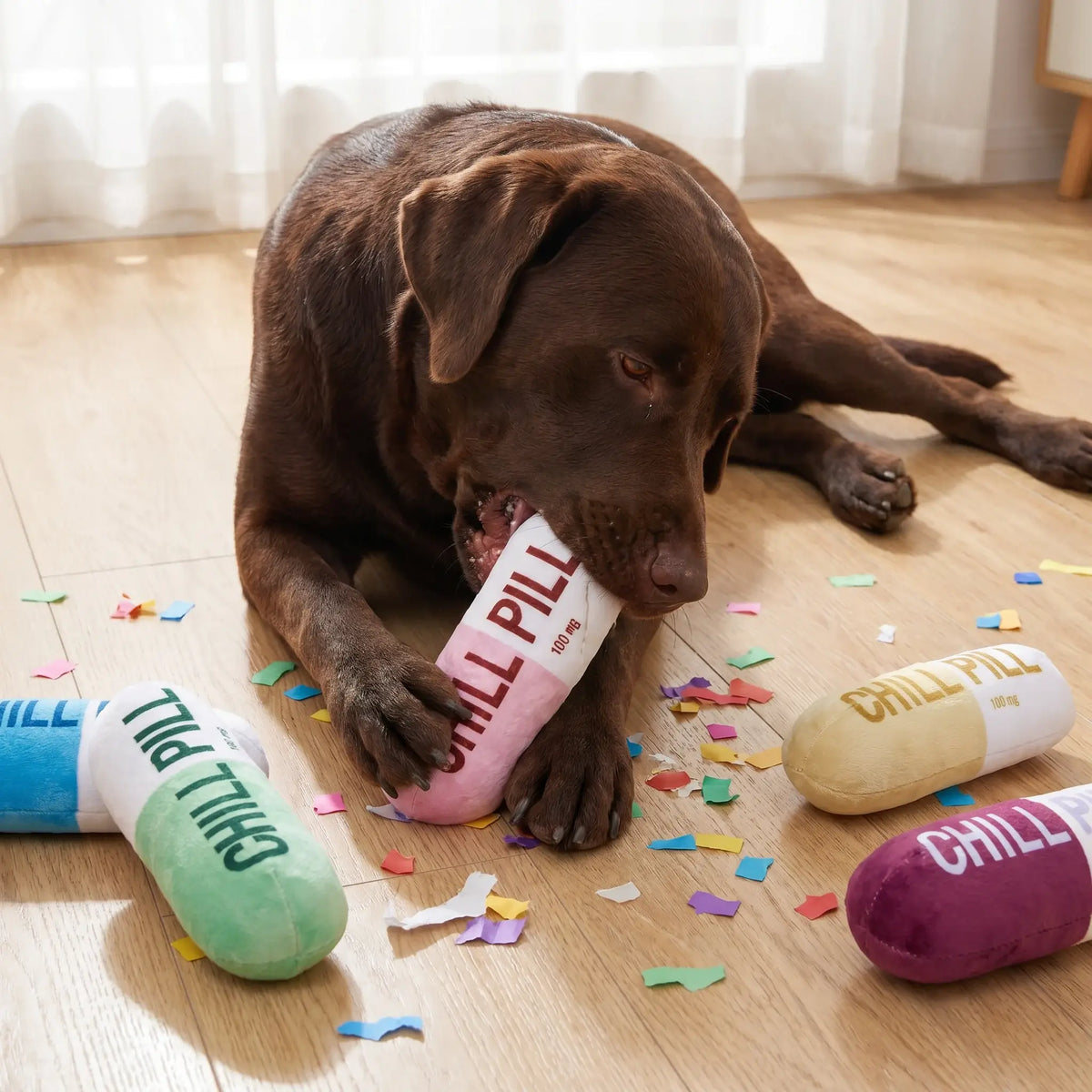 Squeaky Plush Pill Dog Toy – Bite-Resistant Chew | PuppyPaw™