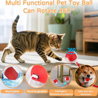 PuppyPaw™ Automatic Interactive Ball