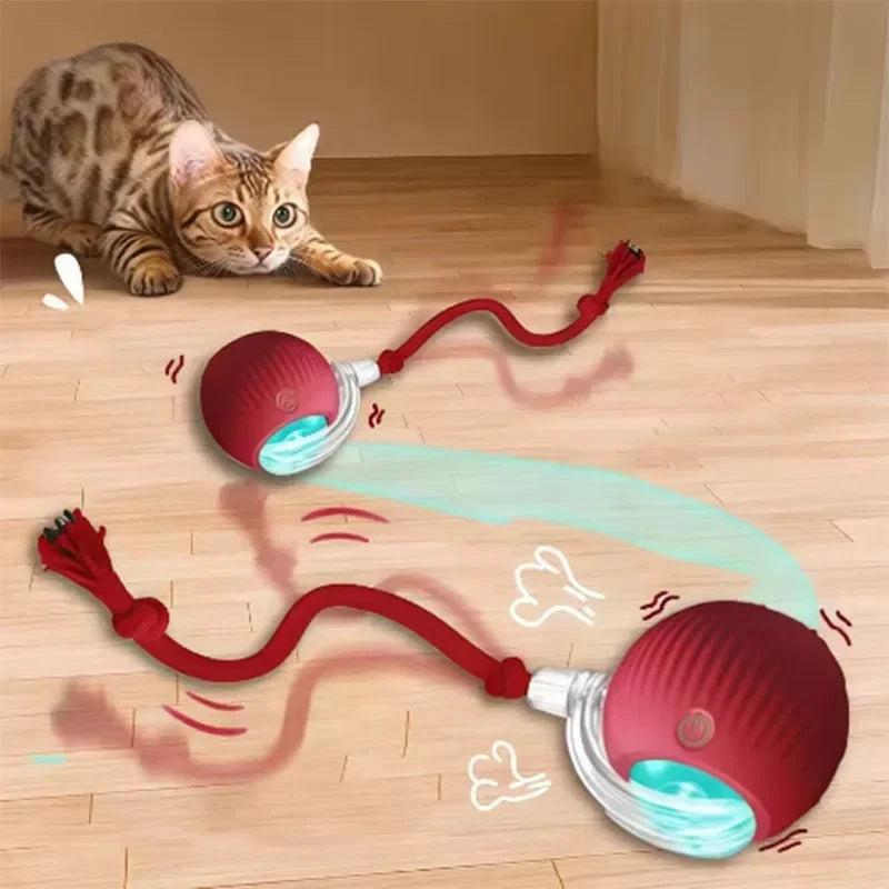 PuppyPaw™ Automatic Interactive Ball
