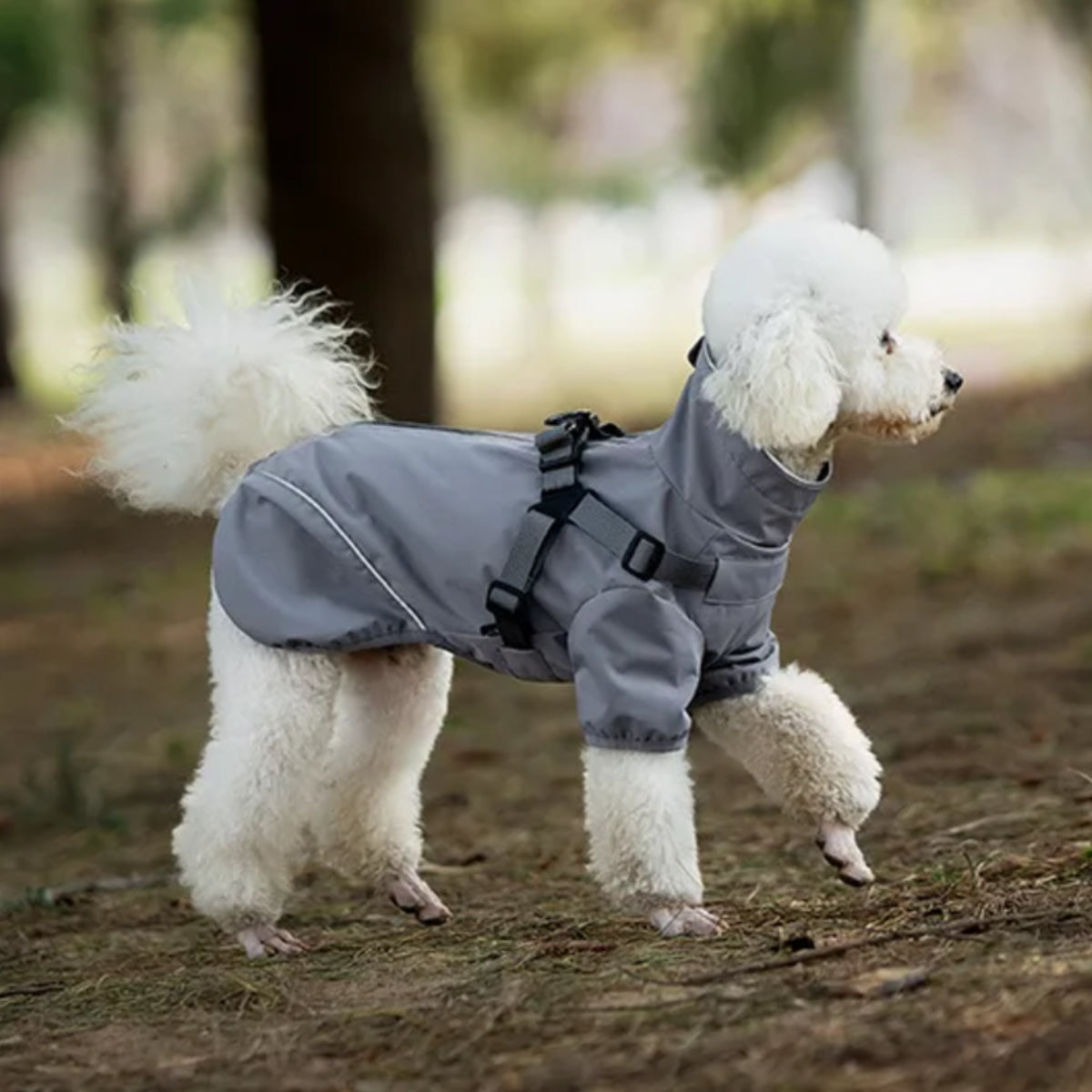 Dog Rain Jacket with Harness – Reflective | PuppyPaw™