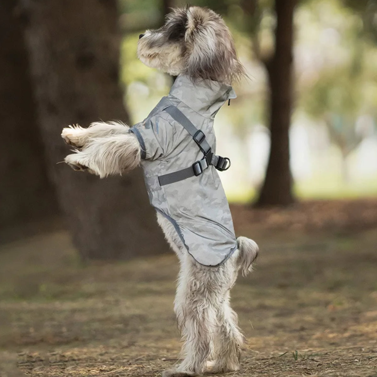 Dog Rain Jacket with Harness – Reflective | PuppyPaw™