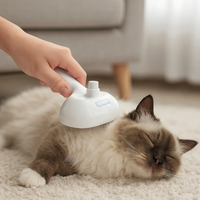 PuppyPaw™ Steam Spray Grooming Brush