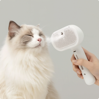 PuppyPaw™ Steam Spray Grooming Brush