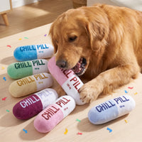 Squeaky Plush Pill Dog Toy – Bite-Resistant Chew | PuppyPaw™